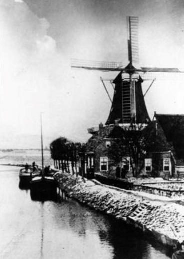 De koren- en pelmolen van Klaas Jans Hekma in Schouwerzijl, gebouwd in 1841 en afgebroken in 1901 (afbeelding van www.molendatabase.org)
